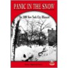 Panic in the Snow by Bonnie Highsmith Taylor
