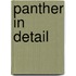 Panther in Detail