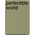 Perfectible World