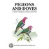 Pigeons And Doves