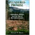 Plundered Promise