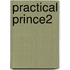 Practical Prince2