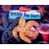 Prickly Sea Stars