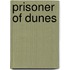 Prisoner Of Dunes