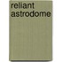 Reliant Astrodome