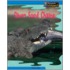River Food Chains