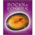 Rocks And Fossils