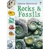 Rocks And Fossils