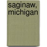 Saginaw, Michigan door Miriam T. Timpledon