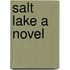 Salt Lake A Novel