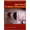 Saqqara Tombs Iii door A.B. Lloyd