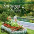 Saratoga in Bloom