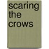 Scaring the Crows