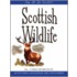 Scottish Wildlife