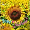 Seed To Sunflower by Camilla DeLaBedoyere