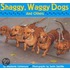 Shaggy Waggy Dogs