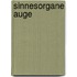 Sinnesorgane Auge