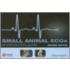 Small Animal Ecgs