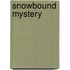 Snowbound Mystery