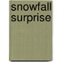 Snowfall Surprise