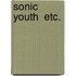 Sonic Youth  Etc.