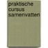 Praktische cursus samenvatten