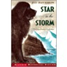 Star in the Storm door Joan Hiatt Harlow