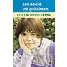 Een hoofd vol geheimen