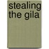 Stealing The Gila