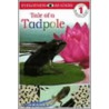Tale Of A Tadpole door Onbekend