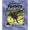 Tarantula Spiders by Julie Murray