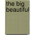 The Big Beautiful