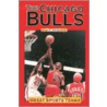 The Chicago Bulls door John F. Grabowski