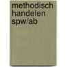 Methodisch handelen SPW/AB by J. ter Horst