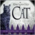 The Enchanted Cat