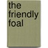 The Friendly Foal