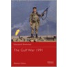 The Gulf War 1991 door Alistair Finlan