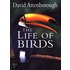 The Life Of Birds