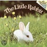 The Little Rabbit door Phoebe Dunn