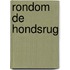 Rondom de Hondsrug