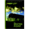 The Meeting Point door Edward Kleinguetl