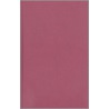 The Modern Papacy door Samuel Gregg