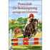 Ponyclub De Bokkesprong springt een hindernis