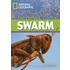 The Perfect Swarm