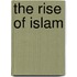 The Rise Of Islam