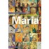 Een geschiedenis van Maria