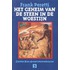 Het geheim van de steen in de woestijn