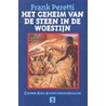 Het geheim van de steen in de woestijn