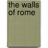The Walls Of Rome