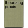 Theorizing Praxis door Paul Fairfield